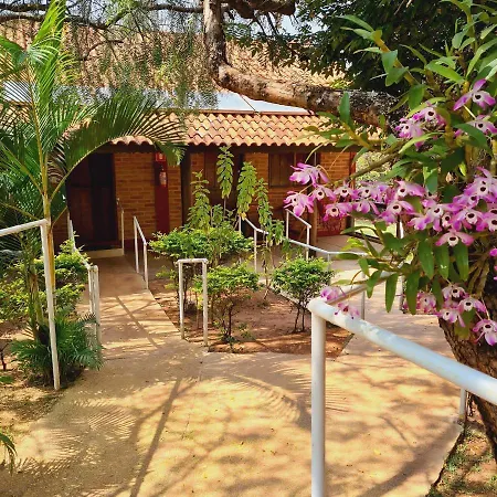 Quintal Das Estrelas-3